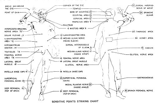 Self Defense Pressure Points Chart