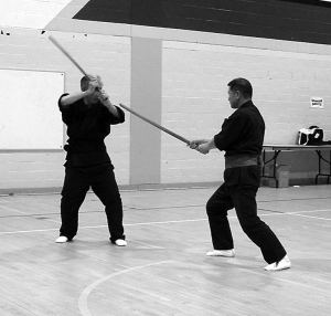 Imai soke and Iwami sensei demonstrating