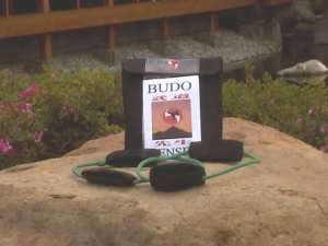 budo sensei box