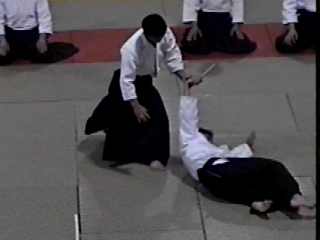 Aikido (Aikikai style)